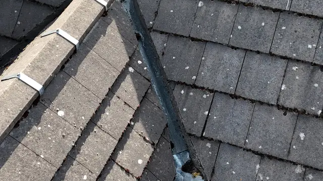 Asphalt Shingle Replacement cover