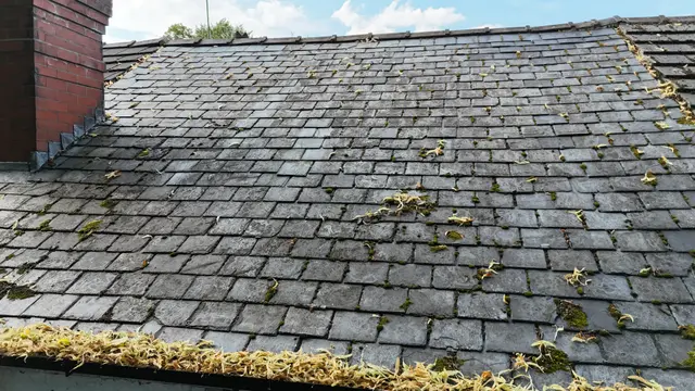 Slate Replacement cover